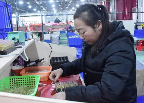 大龙企业 优质产品驱动订单增长，培训活动助力持续发展